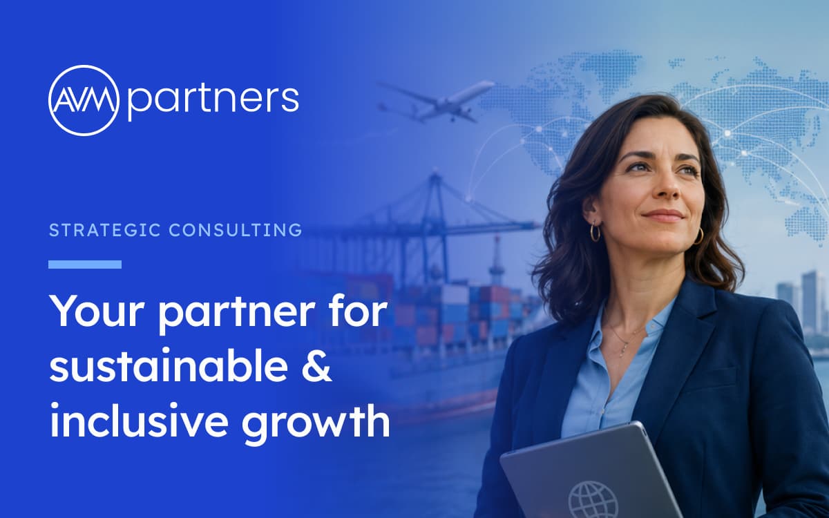 Strategic Consulting for Sustainable & Inclusive Growth | AVM Partners